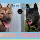 애바다 농장 이미지