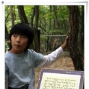 소금강자동차야영장 이미지