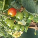 역곡1동주민센터 이미지