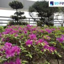 열린구강내과치과의원 이미지