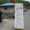 호호장 이미지
