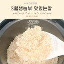 맛있는쌀 혈당조절 오분도미 3월생농부 영호진미 솔직후기