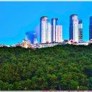 [260819-11. 수.]-[불타는 엘시티-청사포]-[00] 이미지