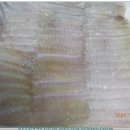 모메조은거 이미지