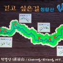 청량산 임도2 이미지