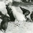 김태식농장 이미지