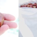 용봉농장 이미지