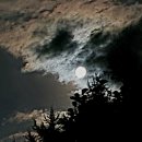 노을지는농장 이미지