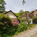 모곡초등학교 이미지