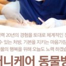 펫케어 동물병원 이미지