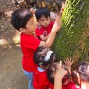 오금숲어린이집 이미지