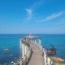 토요 포항여행 이미지