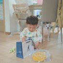캉골키즈현대대구