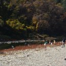 과천사랑방 이미지