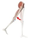 몸짱만들기 GYM 이미지