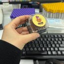 나도스타너도스타 인스타배우기 | 두바이 쫀득 26년 01월