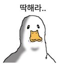 도도리 이미지
