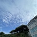 인디고펜션 | 태안 안면읍 인디고 나인 풀빌라 방포해수욕장 바로앞