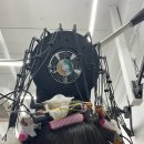 대우헤어아트 | 르아트헤어 후기 (내돈내산)