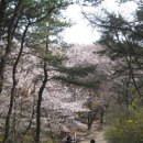 선포약수터 이미지