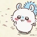 모몽가 이미지