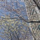 놀숲 부산주례점 이미지