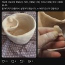 당구대학 | 2026