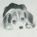 아e들의작업실미술학원 이미지