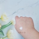 스마일인셀덤 | 인셀덤 선크림과 비비로 초간단 빛나는 물광피부 만들기(내돈내산 한달 후기)