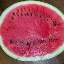 행복플러스 태양광발전소 이미지