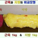 에스엘짐 PT 이미지