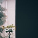 이른오후 이미지