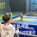 춘천애견체험박물관 | 강원도 춘천 아이 체험 공간｜애니메이션박물관 &amp; 토이로봇관 후기