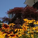 꽃지 화이트 펜션 이미지