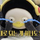 골프튠 아카데미 이미지