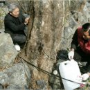 고로쇠산장