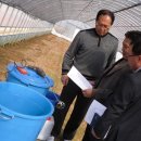 경태농장 이미지