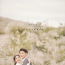 제주아이니 이미지