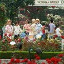 장미의거리11 이미지