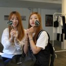 플로허