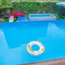 핑스애견펜션 이미지