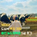 견우목장 2농장 | 용인 농도원목장 5살 아이랑 체험 다녀온 후기, 예약 방법