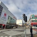 다이소 건너편 횡단보도 이미지