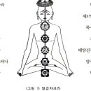 칼 융의 분석 심리학 이해와 차크라 체계 이미지