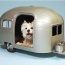 Dog House 이미지