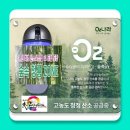 청룡태권도 이미지