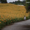 상락정배산실버빌 | 추천 수영구 요양원 상락정 배산실버빌 시설과 서비스가 뛰어난