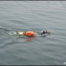 에스티엠 이미지