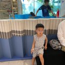 마이짐(MYGYM) 이미지