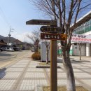 조안초교입구
